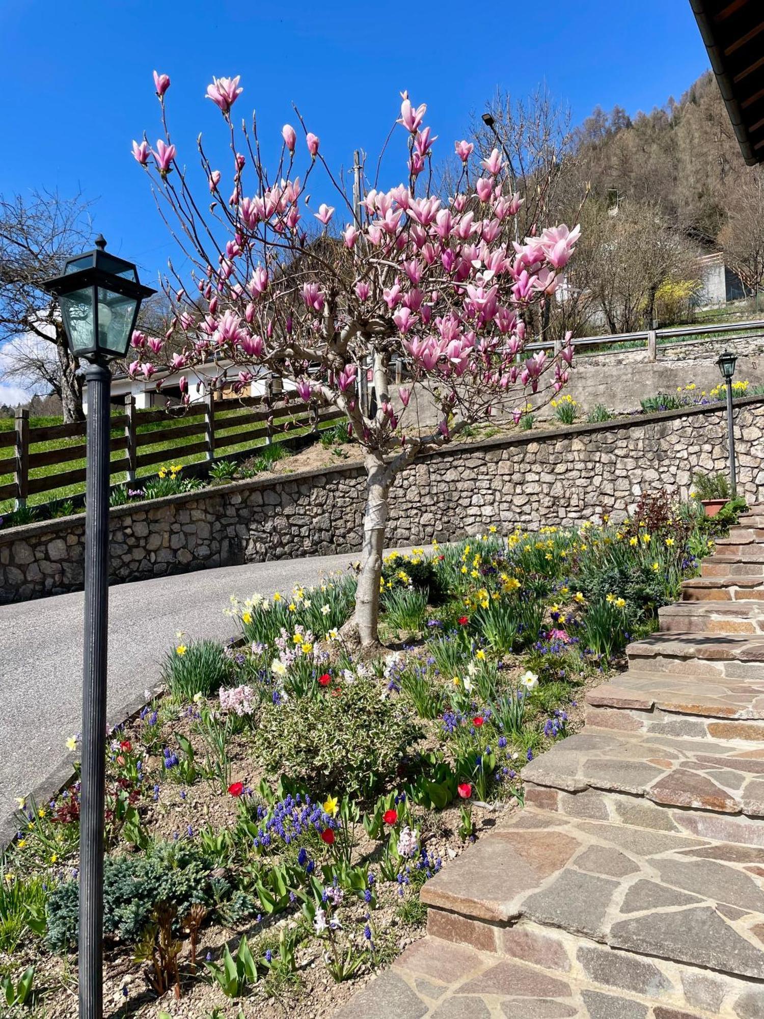Ca Borghetto Hotel Venas Exterior photo